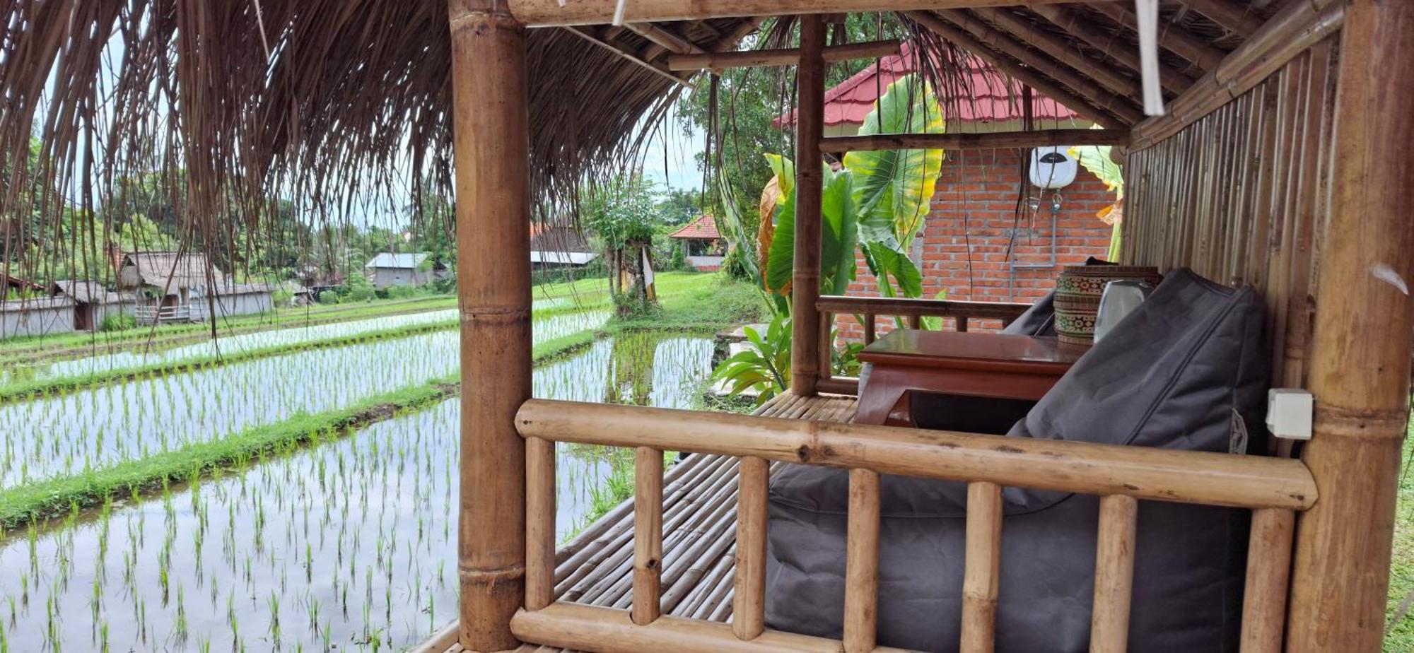 Uma Nirmala Aling-Aling Hotel Singaraja Buitenkant foto