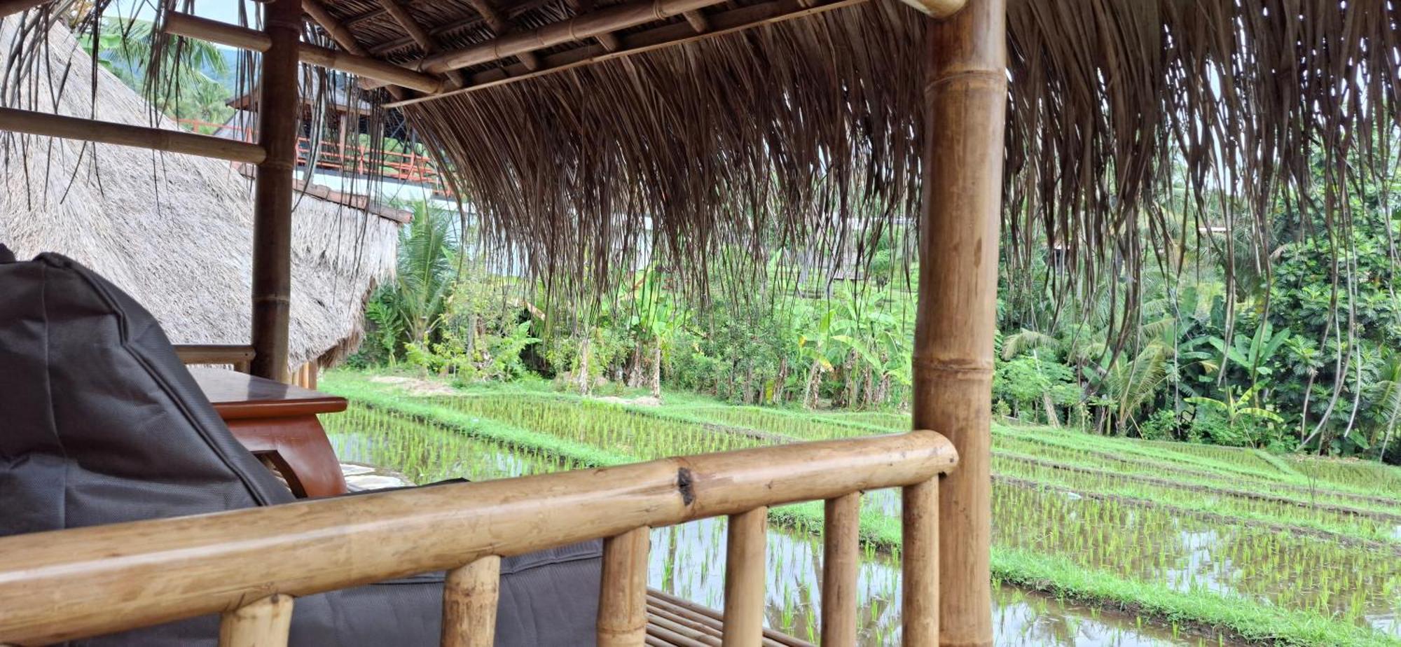 Uma Nirmala Aling-Aling Hotel Singaraja Buitenkant foto
