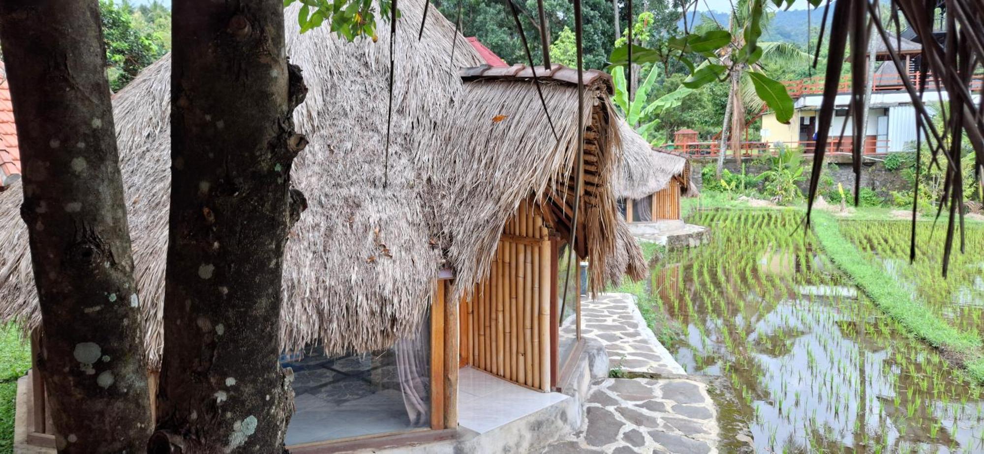 Uma Nirmala Aling-Aling Hotel Singaraja Buitenkant foto