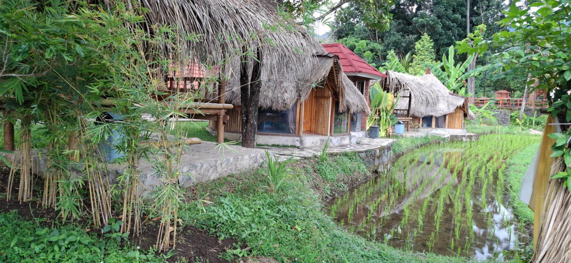 Uma Nirmala Aling-Aling Hotel Singaraja Buitenkant foto