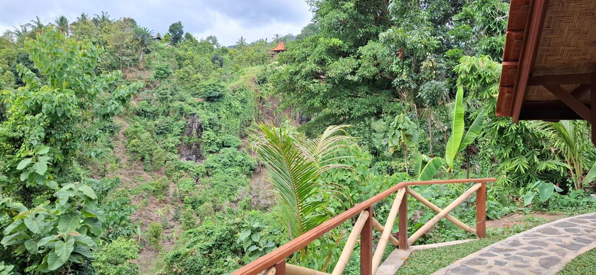 Uma Nirmala Aling-Aling Hotel Singaraja Buitenkant foto